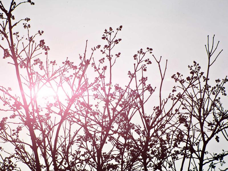 sudoku challenge mode screenshot 6