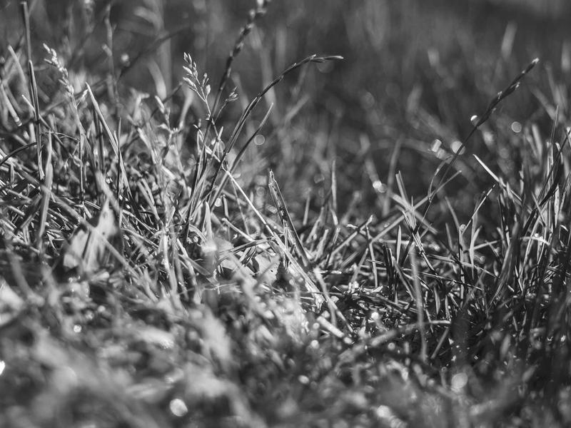 partners screenshot 4